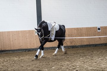 Bild 115 - Voltigierturnier